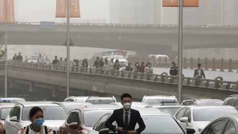 Study: Air Pollution Reduces Intelligence | The EFL SMARTblog Scoop.it Page | Scoop.it