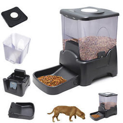 Automatic Cat Feeders In Automatic Pet Feeder Scoop It