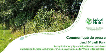 Obtenir le &ldquo;Bonus Haies&rdquo; - Afac-Agroforesteries | Pour innover en agriculture | Scoop.it