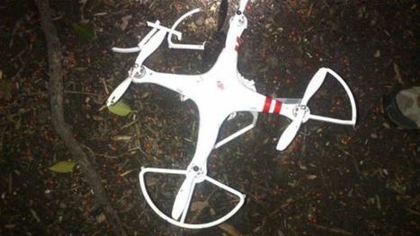 Drone Crashes on White House Lawn; Pilot Claims Recreational Purposes for Flight | Remotely Piloted Systems | Scoop.it