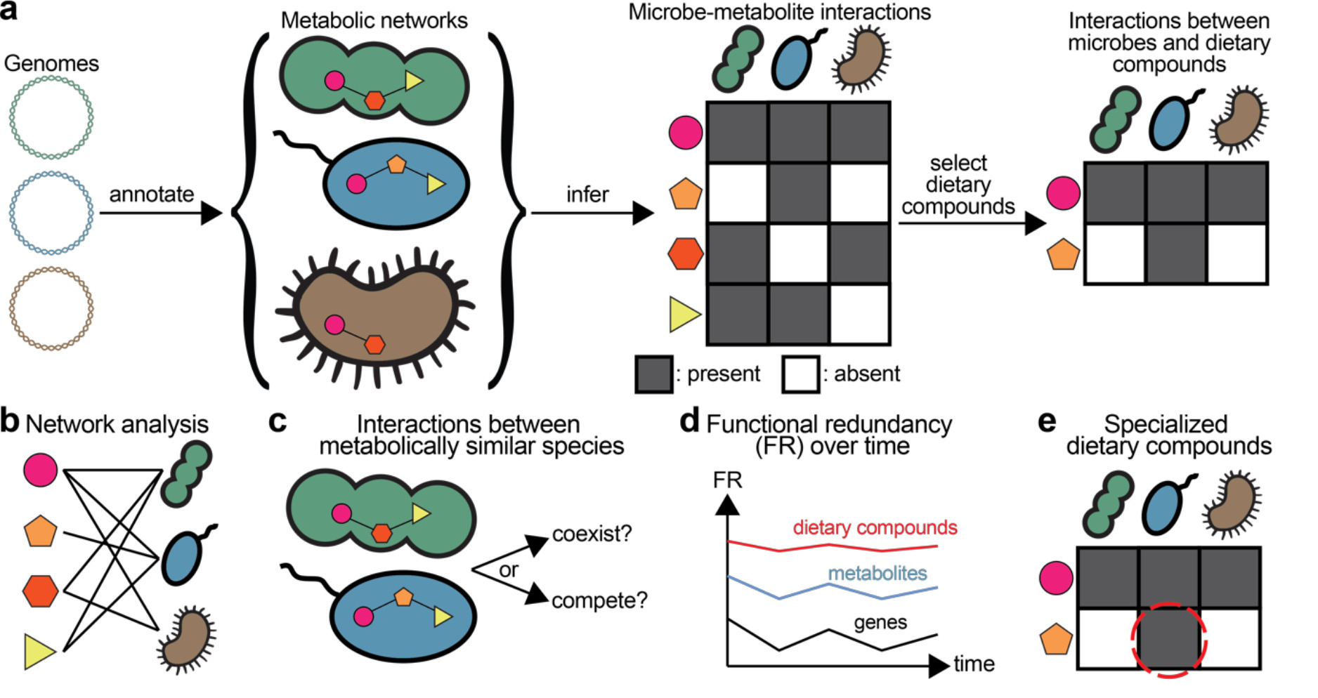 Revealing interactions between microbes, metabo...