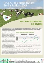 Revenu des exploitations bovins laitiers 2015 (au 31 août 2015) | Economie de l'Elevage | Scoop.it