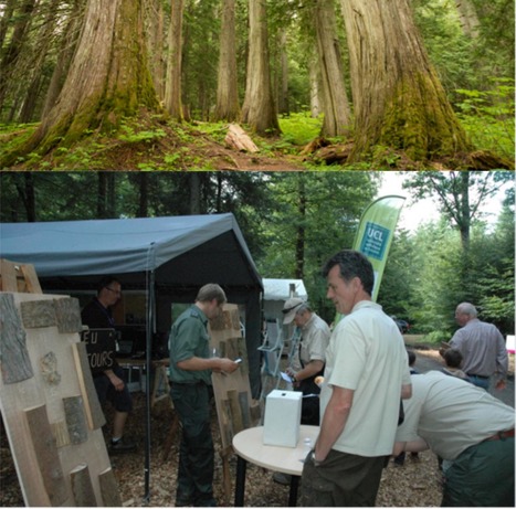 UCL - Le CDAF et Demo Forest seront à la Foire de Libramont | Koter Info - La Gazette de LLN-WSL-UCL | Scoop.it