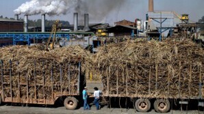 CO2 : ce rapport choc qui estime que les biocarburants sont pires que les carburants d'origine fossile | ITERG Environnement et Eco-industries | Scoop.it