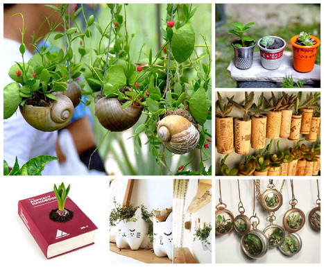 20 Beautiful Tiny Gardens That Fit In The Palm Of Your Hand | 1001 Gardens ideas ! | Scoop.it