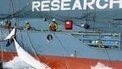 Australia to face Japan on whaling | Coastal Restoration | Scoop.it