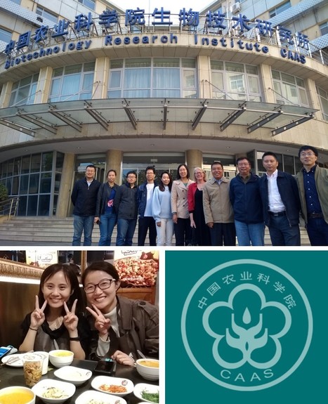 Visit to CAAS, the Chinese Academy of Agricultural Sciences | Plant Biology Teaching Resources (Higher Education) | Scoop.it
