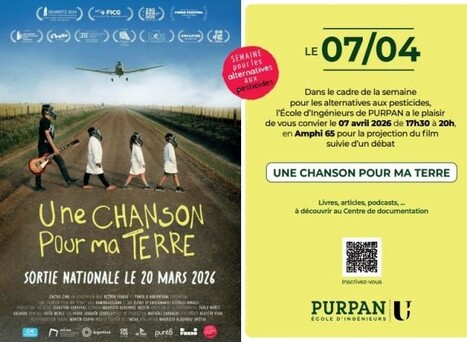 Cin&eacute;-d&eacute;bat | Revue de presse du Centre de doc | Scoop.it