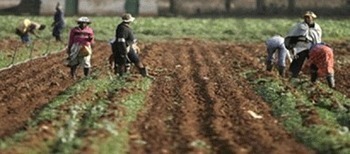 Africa still most food insecure continent | Food & Nutrition Security in East Africa | Scoop.it
