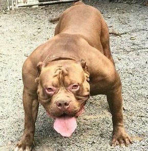 Tweet from @SnakeDoctor84 | Trollface , meme et humour 2.0 | Scoop.it