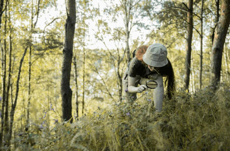 Tourisme et biodiversité : ces expériences où le vivant prend sa place | Tourisme Durable - Slow | Scoop.it