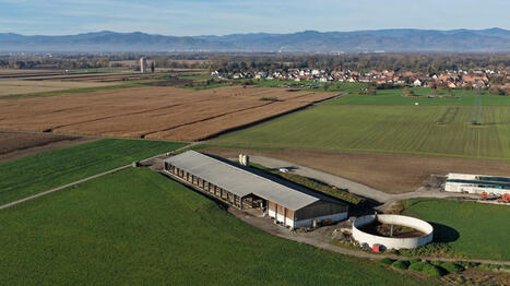 Agriculture : "40 000 fermes de petite taille ont disparu en trois ans", s'alarme le mouvement Terre de Liens, qui appelle les maires à agir - France TV info | Agriculture en Pays de la Loire | Scoop.it