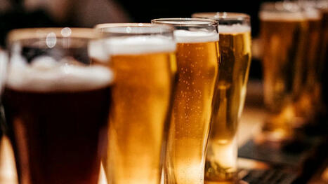 La consommation d’alcool est associée à un risque de lésions cérébrales | Actualité sanitaire et sociale - CRDI Croix-Rouge Compétence                               Hauts-de-France | Scoop.it