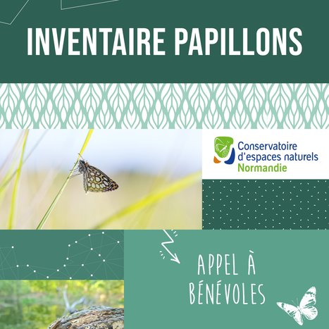 Participez à l'Inventaire Papillons du Conservatoire d'espaces naturels de Normandie ! | Variétés entomologiques | Scoop.it