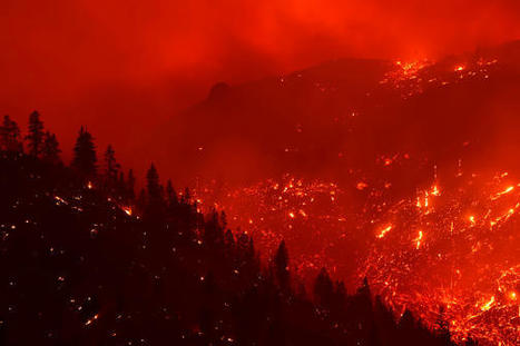 Study Shows That World's Eight Most Impactful Wildfires Occurred in the Last Decade - NatureWorldNews.com | Operation Deimos | Scoop.it