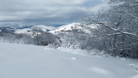 EN IMAGES - La neige a recouvert les montagnes à Iraty - ICI | BABinfo Pays Basque | Scoop.it