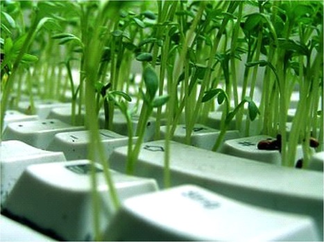 La probl&eacute;matique du Green IT | Eurogreen IT | business analyst | Scoop.it