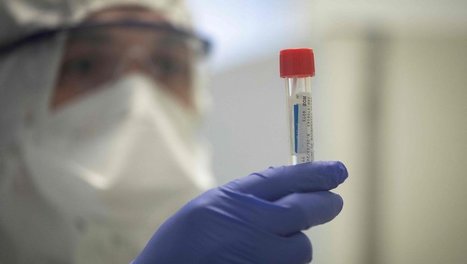 Coronavirus : les tests de dépistage ariégeois validés aux Etats-Unis | La lettre de Toulouse | Scoop.it