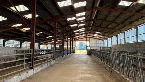 "Plus de vaches, plus de livraisons de lait, donc plus de revenus" : face à la dermatose nodulaire, la détresse des éleveurs privés de leur troupeau | Actualité Bétail | Scoop.it