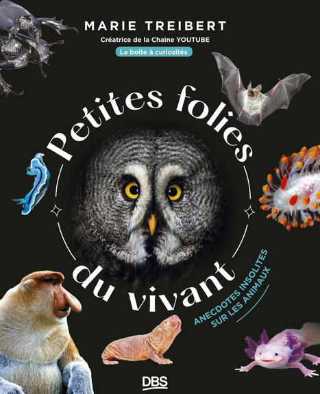 Marie Treibert : Petites folies du vivant. Anecdotes insolites sur les animaux avec la Boîte à curiosités | Variétés entomologiques | Scoop.it