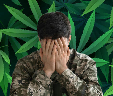 FDA Approves Landmark Clinical Trial for Veterans with PTSD and Smoking Cannabis | Cannabis.Net | Scoop.it