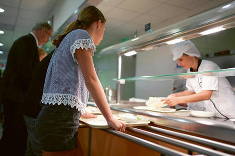 Rentrée : comment les cantines éradiquent le plastique | Veille juridique du CDG13 | Scoop.it