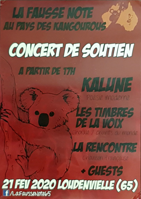 Concert de soutien pour une mission humanitaire en Australie le 21 février à Loudenvielle | Vallées d'Aure & Louron - Pyrénées | Scoop.it