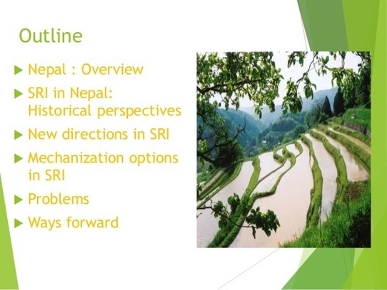 NEPAL: New Directions for the System of R...