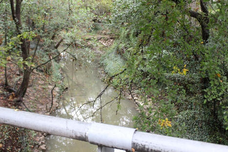 Houston City Council expedites $16M flood prevention project for Turkey Gully | exTRA by the Trinity River Authority of Texas | Scoop.it
