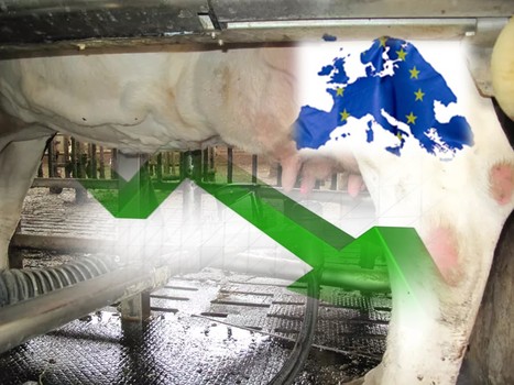 Les trois facteurs de la baisse de la production laitière en Europe | Lait de Normandie... et d'ailleurs | Scoop.it