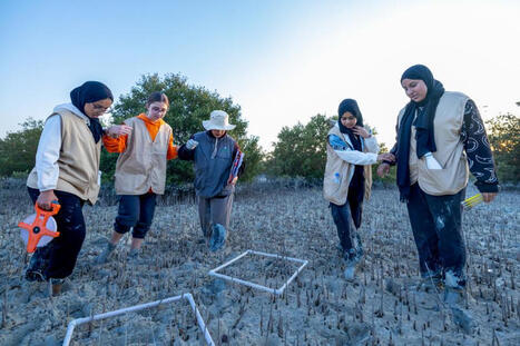 Youth in Charge: RCE Leaders Shaping Sustainable Societies | International development | Scoop.it