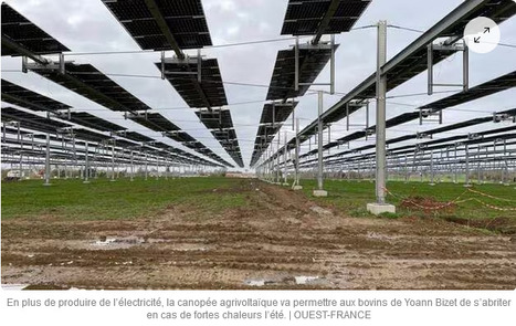 Canopée agrivoltaïque dans le Calvados : un financement participatif lancé pour récolter 800 000 € - Ouest France | Pour innover en agriculture | Scoop.it