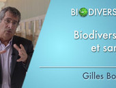 Biodiversité et agronomie | EntomoScience | Scoop.it
