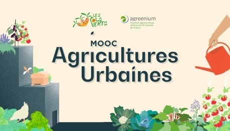 Agricultures Urbaines : pour monter son projet professionnel en Agriculture Urbaine - Uved | ESPACES VEGETALISES URBAINS | Scoop.it