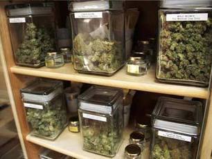 Growing medical marijuana is big business in Canada | Beckley News : Cannabis - Marijuana | Scoop.it