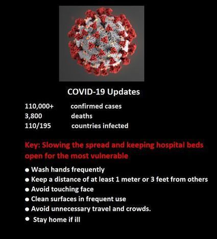 Coronaviruses | YaleGlobal Online | Covid-19 : analyses et prospective | Scoop.it