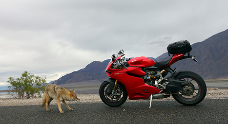 RideApart Review: Ducati 1199 Panigale S - Hell for Leather | Ductalk: What's Up In The World Of Ducati | Scoop.it
