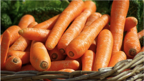 Des l&eacute;gumes bio, locaux et pas chers dans un quartier prioritaire de Mont&eacute;limar | Labo Cit&eacute;s - L'actualit&eacute; de la politique de la ville en Auvergne-Rh&ocirc;ne-Alpes | Scoop.it