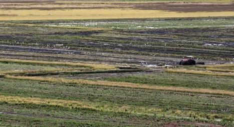 Change in law to start avalanche of investment in Brazil land | Timberland Investment | Scoop.it