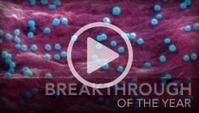 Special Issue: Breakthrough of the Year, 2011 | Science News | Scoop.it