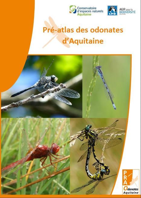 Sortie du pré-Atlas des Odonates d’Aquitaine ! | Plan National d'Actions Odonates | Insect Archive | Scoop.it