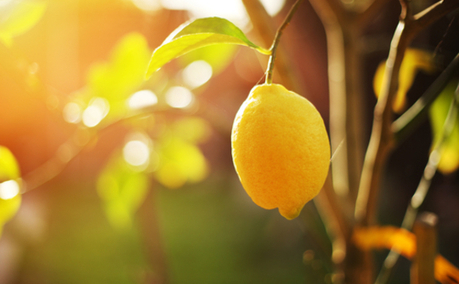 Lemons and limes: Tesco explains how data analytics is boosting performance | Technology used in businesses | Scoop.it