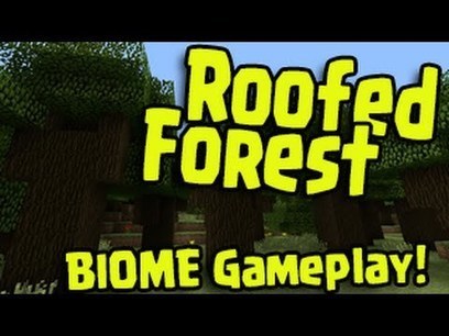 Minecraft Ps3 Ps4 Xbox Roofed Forest Biome