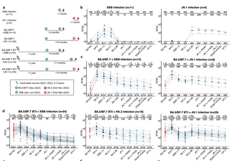 Humoral Immunogenicity Comparison of XBB and JN.1 in Human Infections - bioRxiv | Virus World | Scoop.it