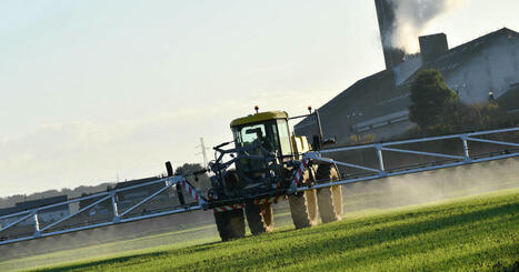 Le prosulfocarbe, l’herbicide le plus utilisé en France, reste autorisé | Les Colocs du jardin | Scoop.it