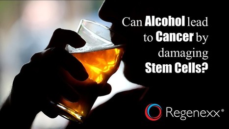 Alcohol and Stem Cells: Worse than I Thought? | Adult Stem Cells Repair Body | Scoop.it