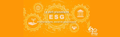 Le défi planétaire ESG : environnement, social et gouvernance – Sylvie Bédard – Complice de votre Présence | Présence numérique | Scoop.it