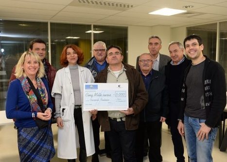 Limoux Hâmes se mobilise contre le cancer - 13/12/2015 | Revue de presse | Scoop.it