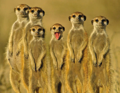 one big photo &raquo; a picture is worth a thousand words | one big photo | Digital Delights - Images & Design | Scoop.it