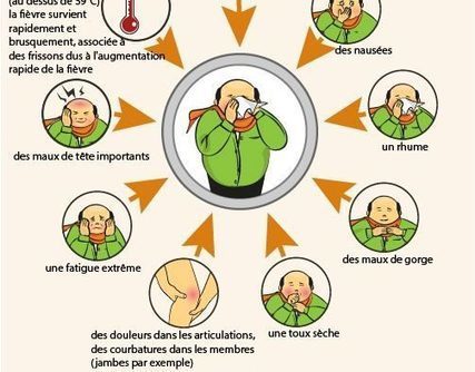 Une infographie en vidéo explique la transmission du virus de la grippe | my-Onlypharma | French Authentic Texts | Scoop.it